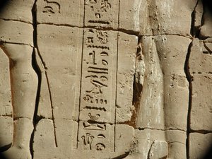 Photo »D03_0554« aus dem Edfu-Projekt.