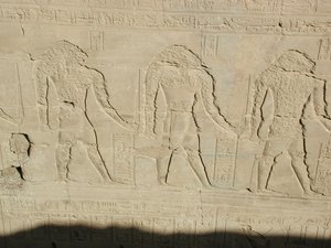 Photo »D03_0718« aus dem Edfu-Projekt.