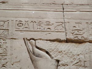 Photo »D05_3501« aus dem Edfu-Projekt.