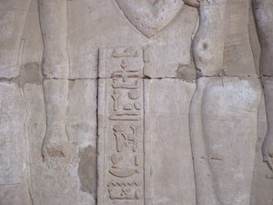 Photo »D05_6378« of the Edfu-Project.