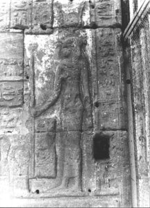 Photo »2726« aus dem Edfu-Projekt.