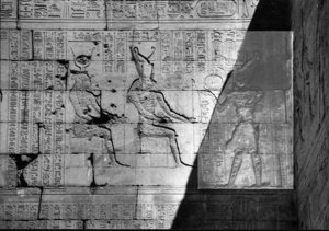 Photo »3542« aus dem Edfu-Projekt.