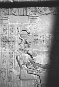 Photo »4248« aus dem Edfu-Projekt.