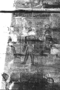 Photo »480« aus dem Edfu-Projekt.