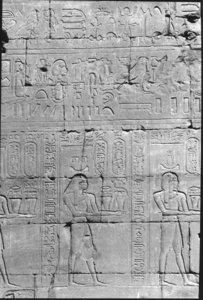 Photo »5« of the Edfu-Project.