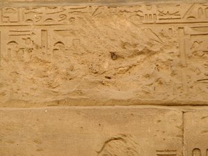 Photo »D05_1918« aus dem Edfu-Projekt.