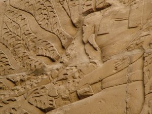 Photo »D05_2128« aus dem Edfu-Projekt.