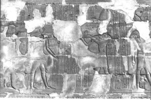 Photo »305« aus dem Edfu-Projekt.