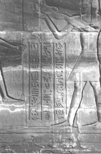 Photo »4213« aus dem Edfu-Projekt.