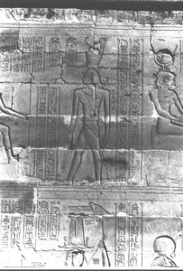 Photo »437« aus dem Edfu-Projekt.
