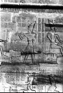 Photo »461« aus dem Edfu-Projekt.