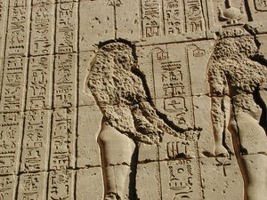 Photo »D03_0443« aus dem Edfu-Projekt.
