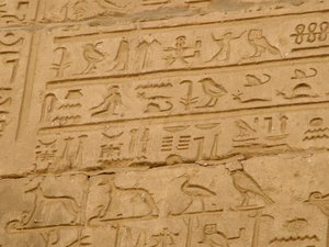 Photo »D05_1826« aus dem Edfu-Projekt.