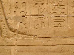 Photo »D05_1845« aus dem Edfu-Projekt.