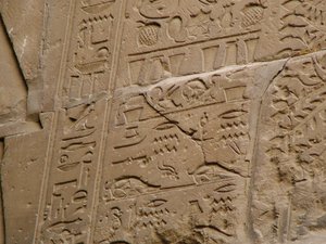 Photo »D05_2130« aus dem Edfu-Projekt.