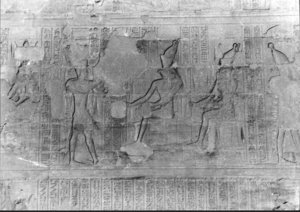 Photo »2045« of the Edfu-Project.