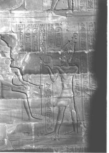 Photo »4043« aus dem Edfu-Projekt.