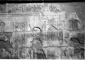 Photo »4180« aus dem Edfu-Projekt.