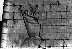 Photo »145« of the Edfu-Project.