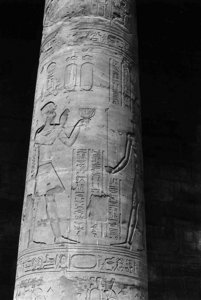 Photo »1630« of the Edfu-Project.