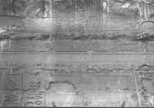Photo »2836« aus dem Edfu-Projekt.