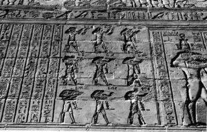Photo »1196« aus dem Edfu-Projekt.