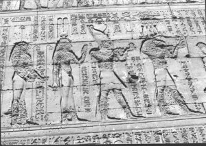 Photo »1460« aus dem Edfu-Projekt.