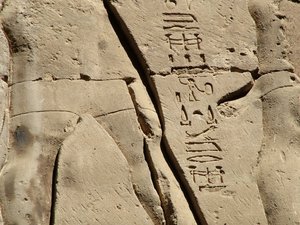 Photo »D05_1748« aus dem Edfu-Projekt.