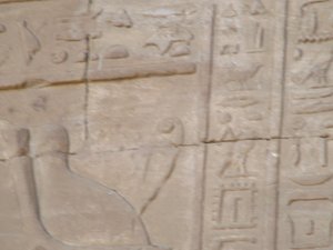 Photo »D05_4129« of the Edfu-Project.