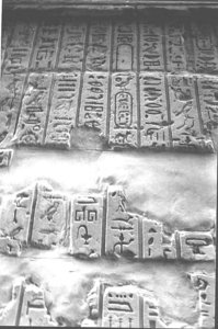 Photo »1318« aus dem Edfu-Projekt.