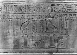 Photo »2030« aus dem Edfu-Projekt.