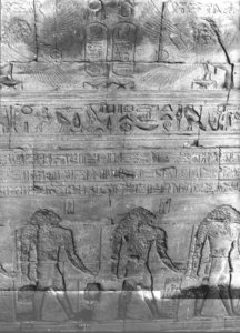 Photo »3069« aus dem Edfu-Projekt.