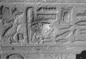 Photo »3779« aus dem Edfu-Projekt.