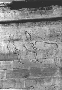Photo »4429« aus dem Edfu-Projekt.