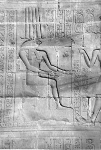 Photo »4435« aus dem Edfu-Projekt.