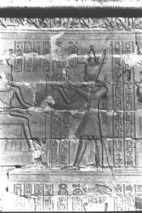 Photo »446« aus dem Edfu-Projekt.