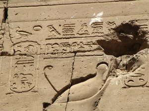 Photo »D05_1257« aus dem Edfu-Projekt.