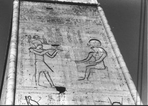 Photo »2558« of the Edfu-Project.