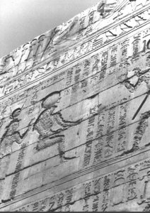 Photo »3554« aus dem Edfu-Projekt.