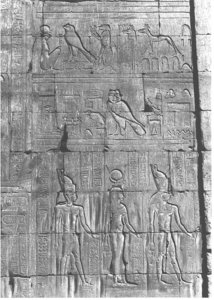 Photo »80« of the Edfu-Project.