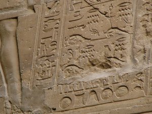 Photo »D05_2131« aus dem Edfu-Projekt.