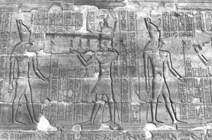 Photo »277« aus dem Edfu-Projekt.