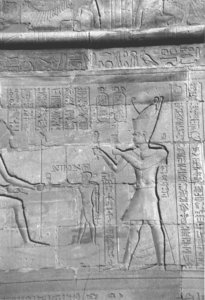 Photo »4350« aus dem Edfu-Projekt.