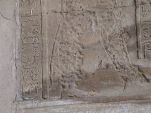 Photo »D05_0236« of the Edfu-Project.