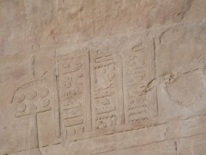 Photo »D05_5570« of the Edfu-Project.