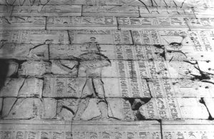 Photo »1140« aus dem Edfu-Projekt.