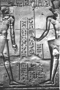 Photo »1307« aus dem Edfu-Projekt.