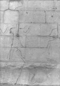 Photo »867« aus dem Edfu-Projekt.