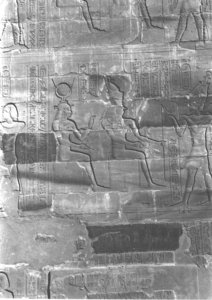 Photo »4042« aus dem Edfu-Projekt.