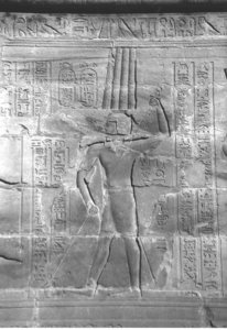 Photo »4396« aus dem Edfu-Projekt.